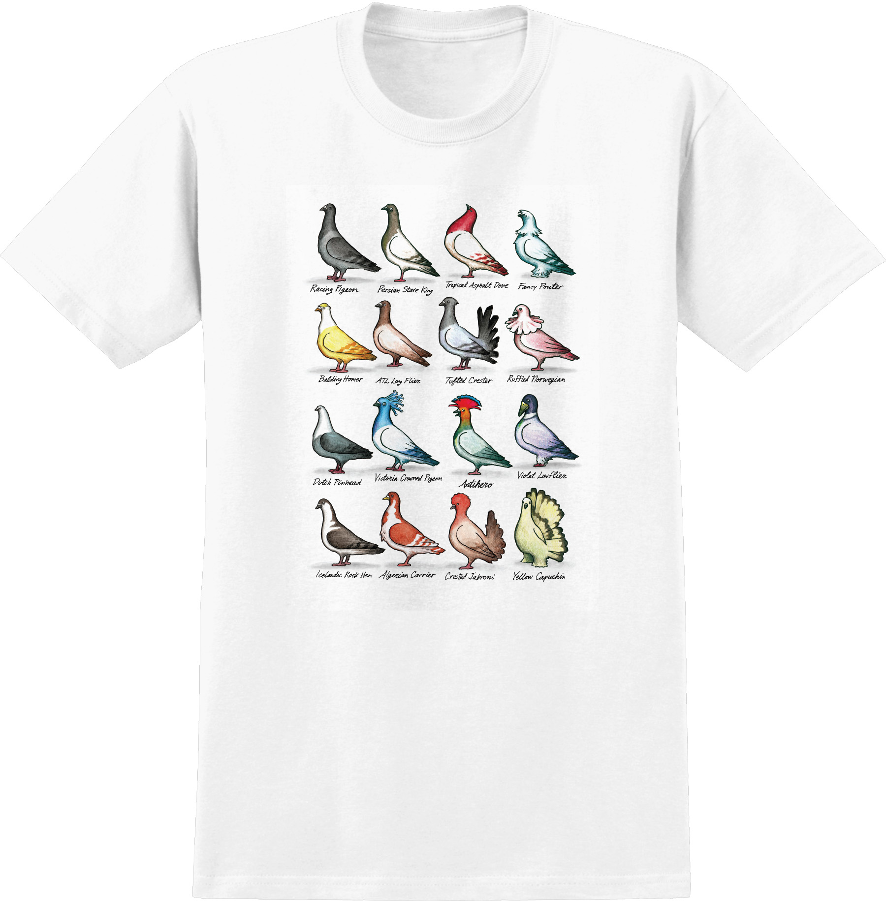 Anti Hero Show Pigeons T-Shirt – Switch and Signal Skatepark